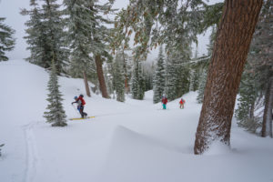 backcountry skiing