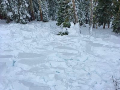 South Lake Tahoe AIARE Avalanche Rescue