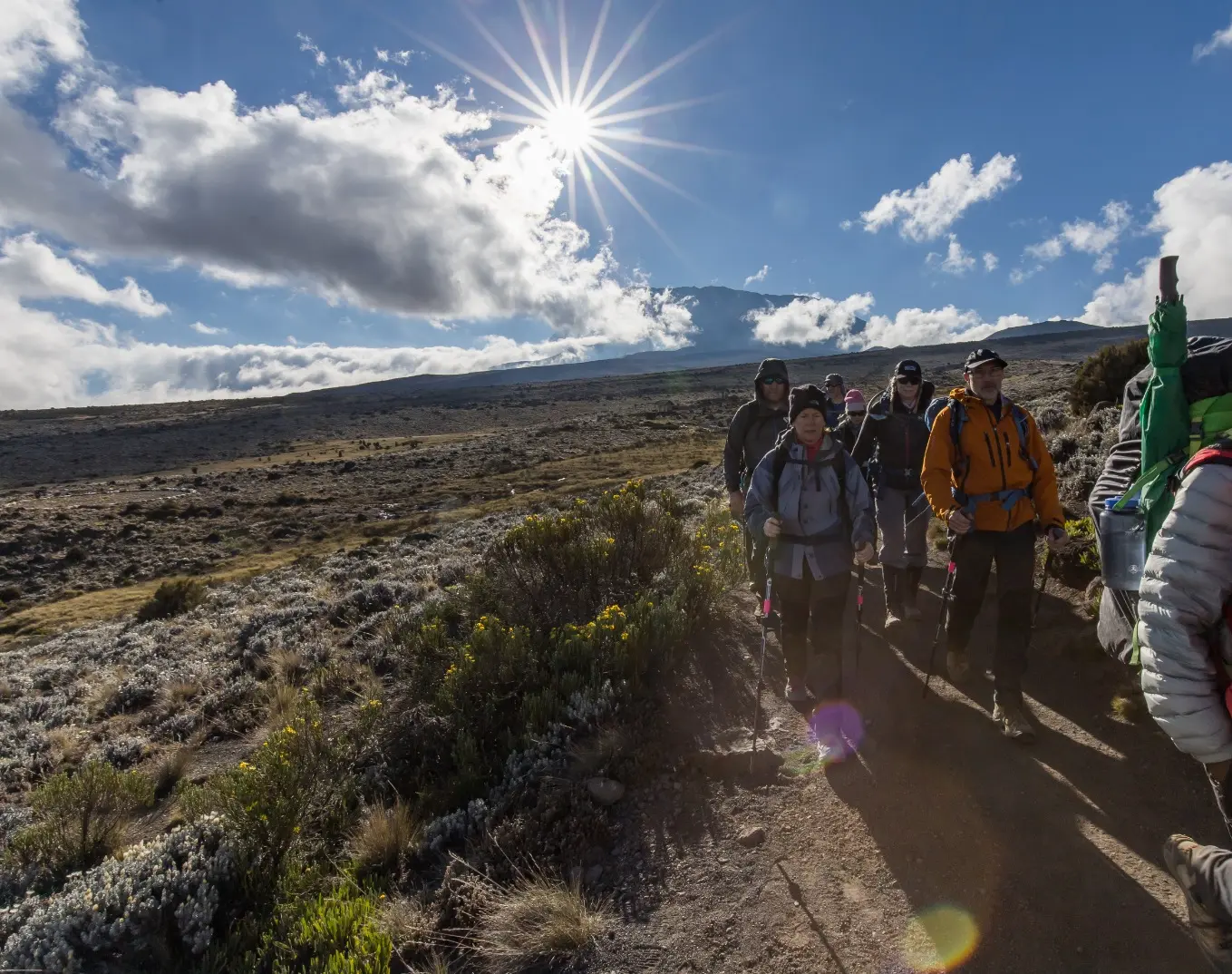 Clients hiking up Kilimanjaro