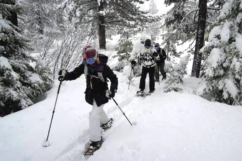 Private Lake Tahoe Snowshoe Tour