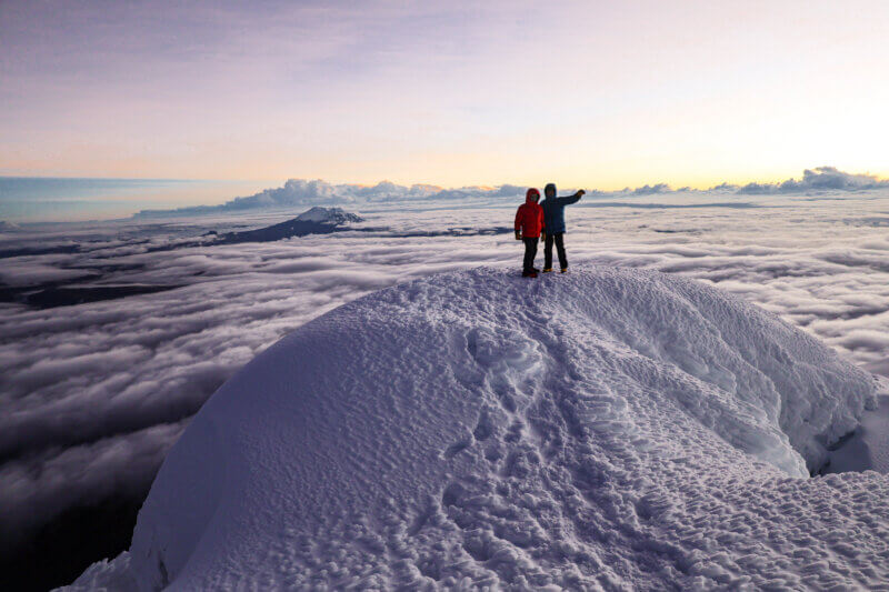 We have a full support team that is available 7 days a week.