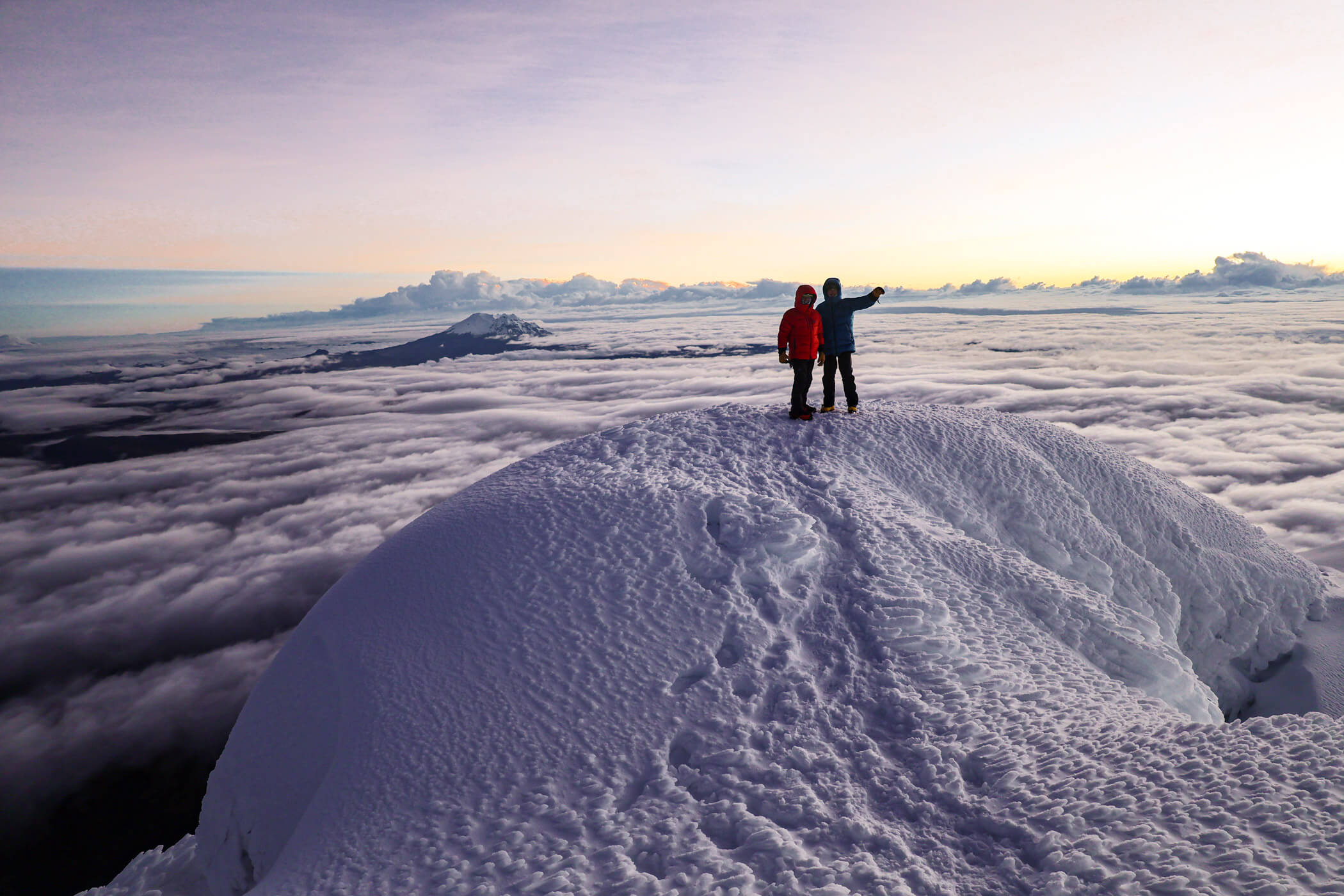 We have a full support team that is available 7 days a week.