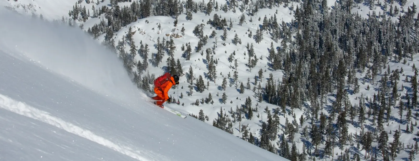 private backcountry ski guiding in lake tahoe with professional mountain guides