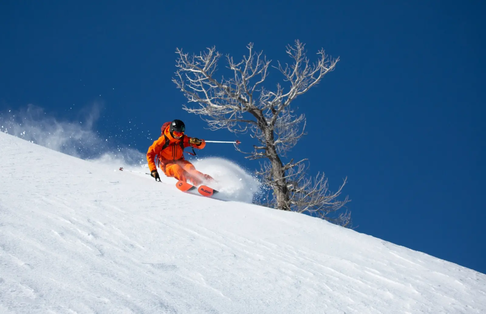 private backcountry ski guiding in lake tahoe with professional mountain guides