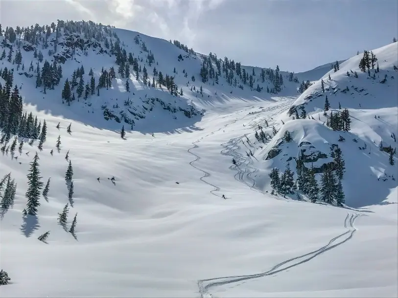 A single skier descending perfect powder snow during a Palisades Backcountry Ski Tour