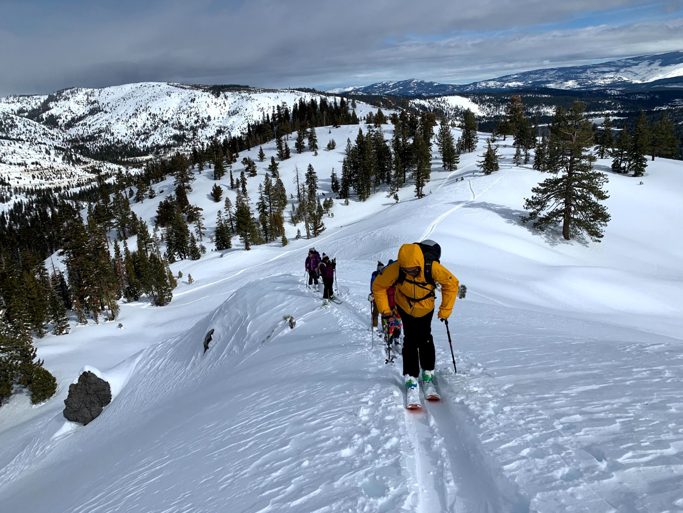 Women's Recon Stretch Ski Pants - Alpenglow Adventure Sports