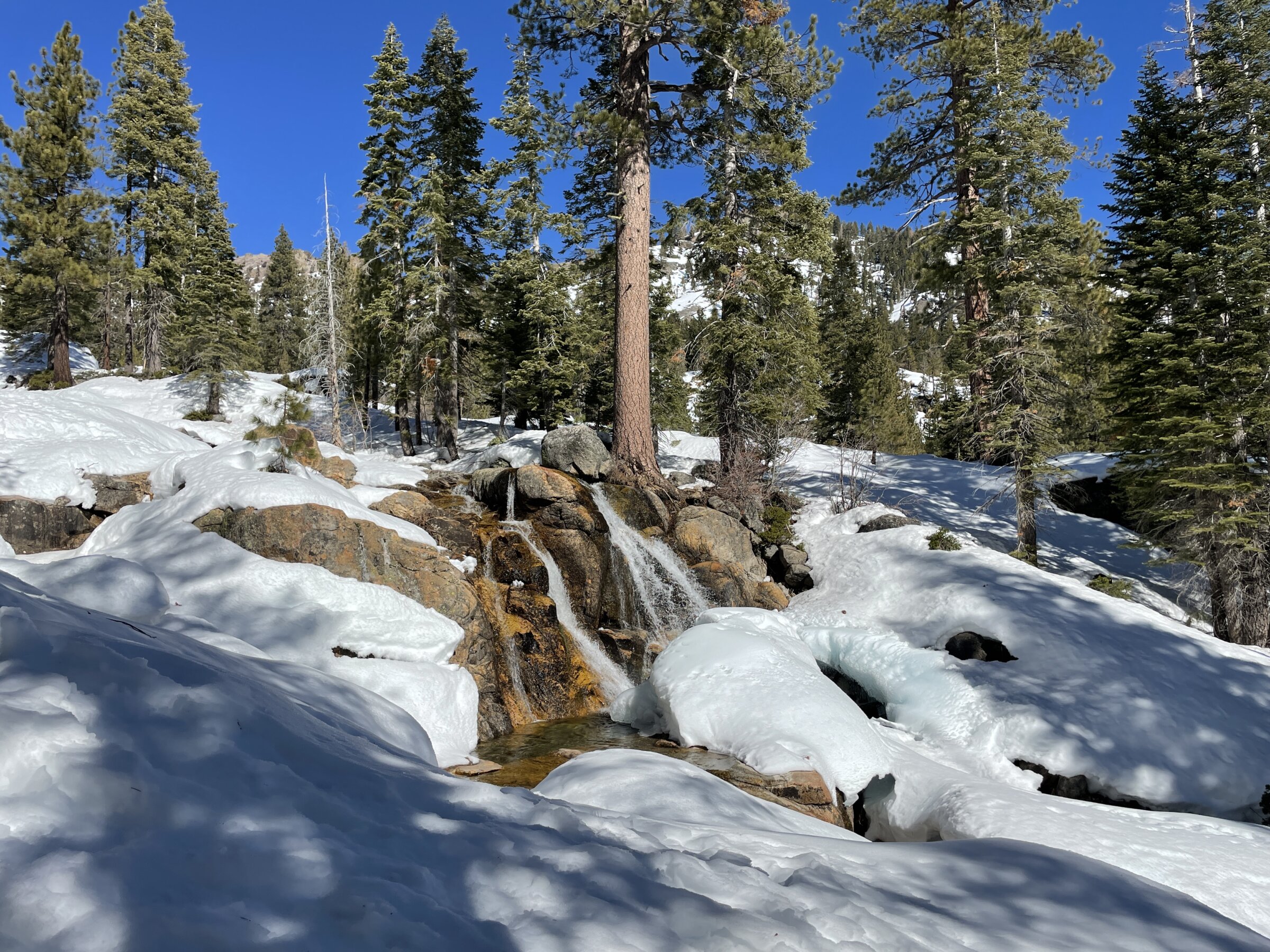 Professional guided Group snowshoe tour in Lake Tahoe