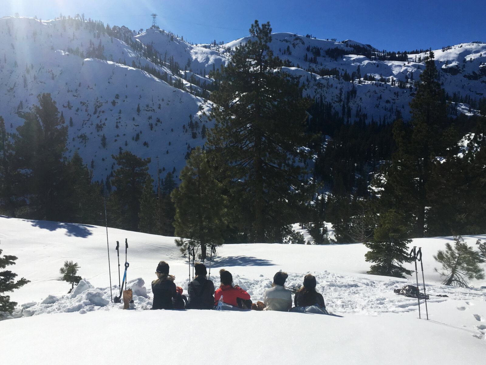North Lake Tahoe snowshoe tour in beautiful Shirley Canyon