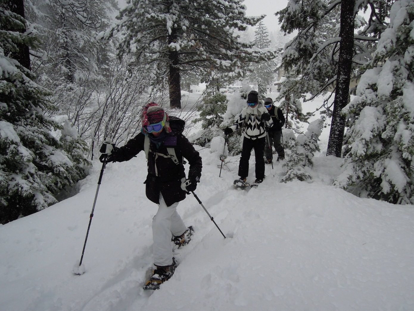 Professional guided North Lake Tahoe Snowshoe Tour