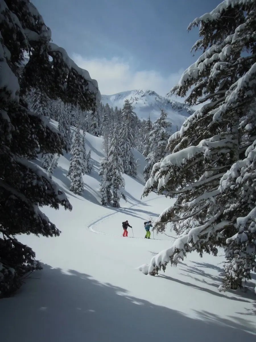 private backcountry ski guiding in lake tahoe with professional mountain guides