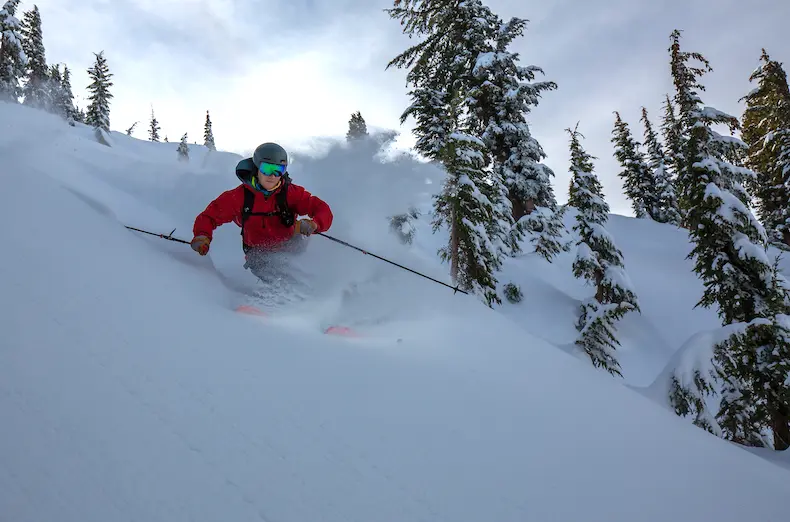 AIARE Avalanche Courses Go Digital