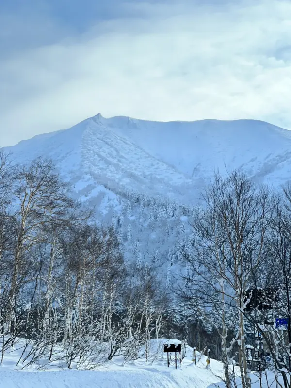 A snowy forest in the foreground with a snowy mountain in the background during a guided Japan ski trip with Alpenglow Expeditions.