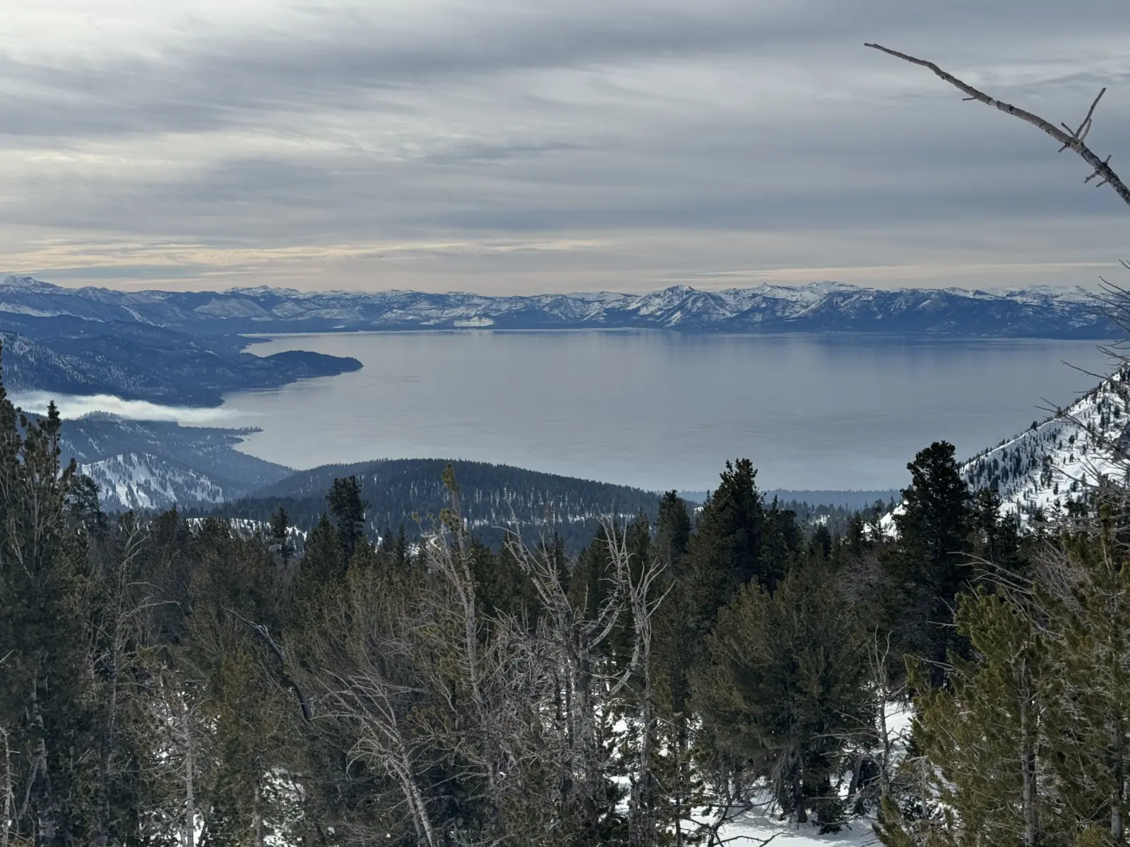 Tahoe Lakeview Snowshoe Tour