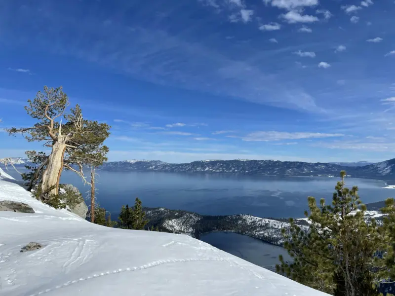 Lake Tahoe’s Best Family Winter Adventure: Snowshoeing with Alpenglow Expeditions