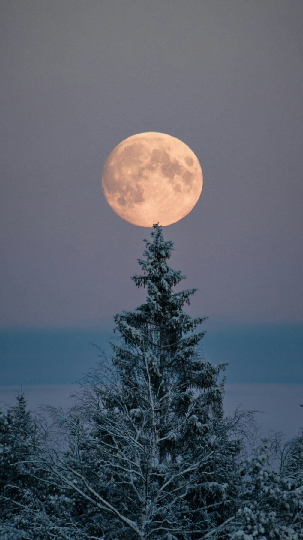 Full Moon on a snowshoe tour