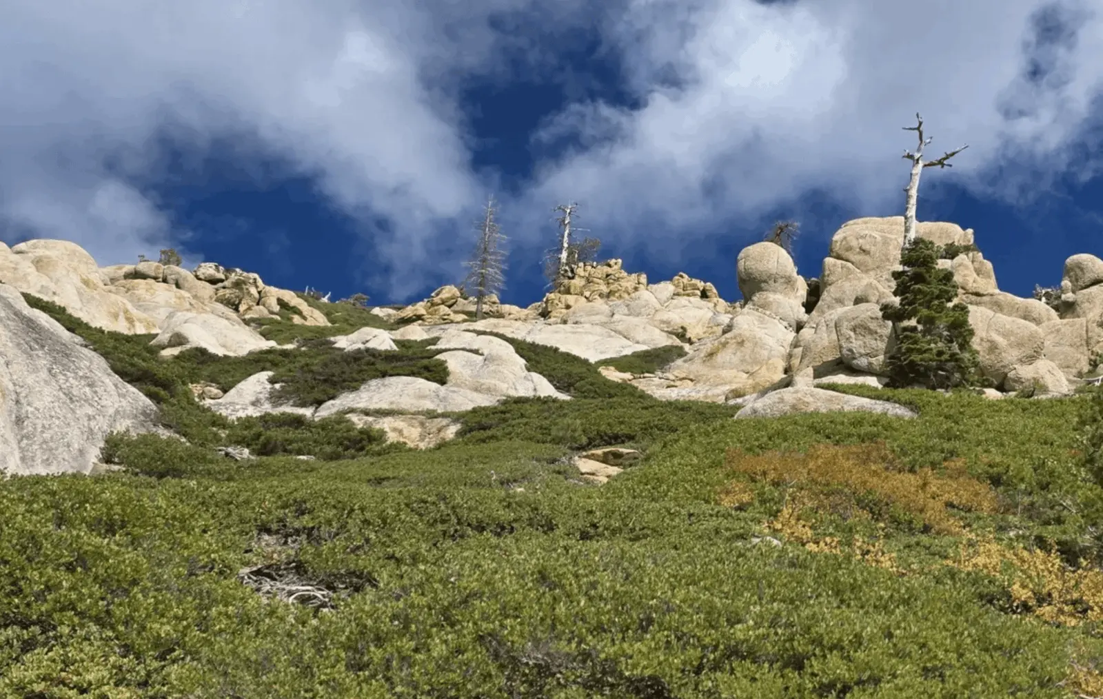 Western States Half Day Hike